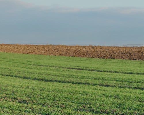 L'effet des rayons sur le cerveau humain