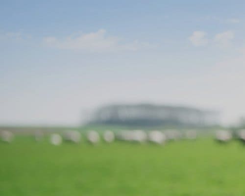 L'effet des rayons sur le cerveau humain