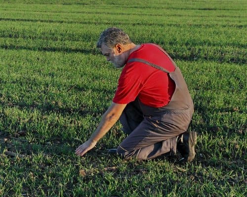 L'effet des rayons sur le cerveau humain